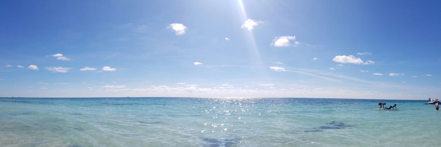 Stephanie Pierce banner