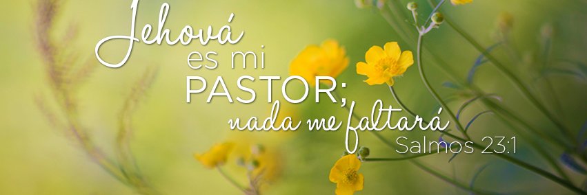 José Solórzano Reyes banner