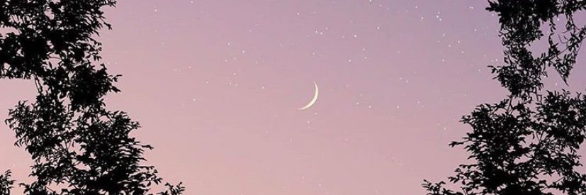 Agadeeeee's profile banner image