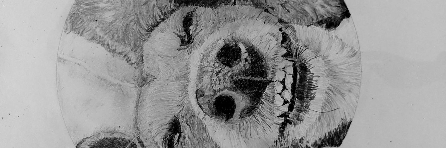 DiscoSteve73's profile banner image