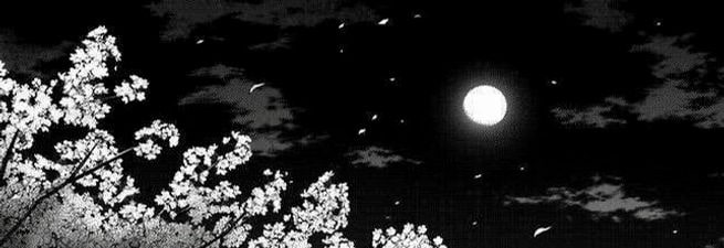 lunaaabrook's profile banner image