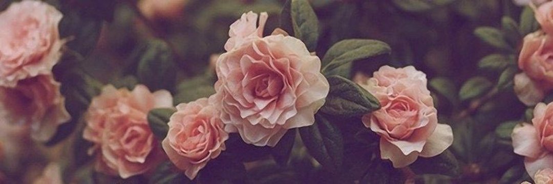 aleegomez08's profile banner image