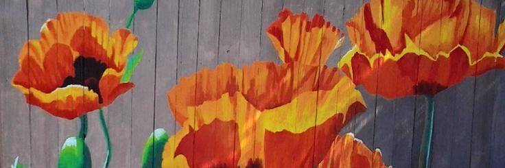 KeepYCBeautiful's profile banner image