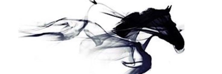 V_O8l8's profile banner image