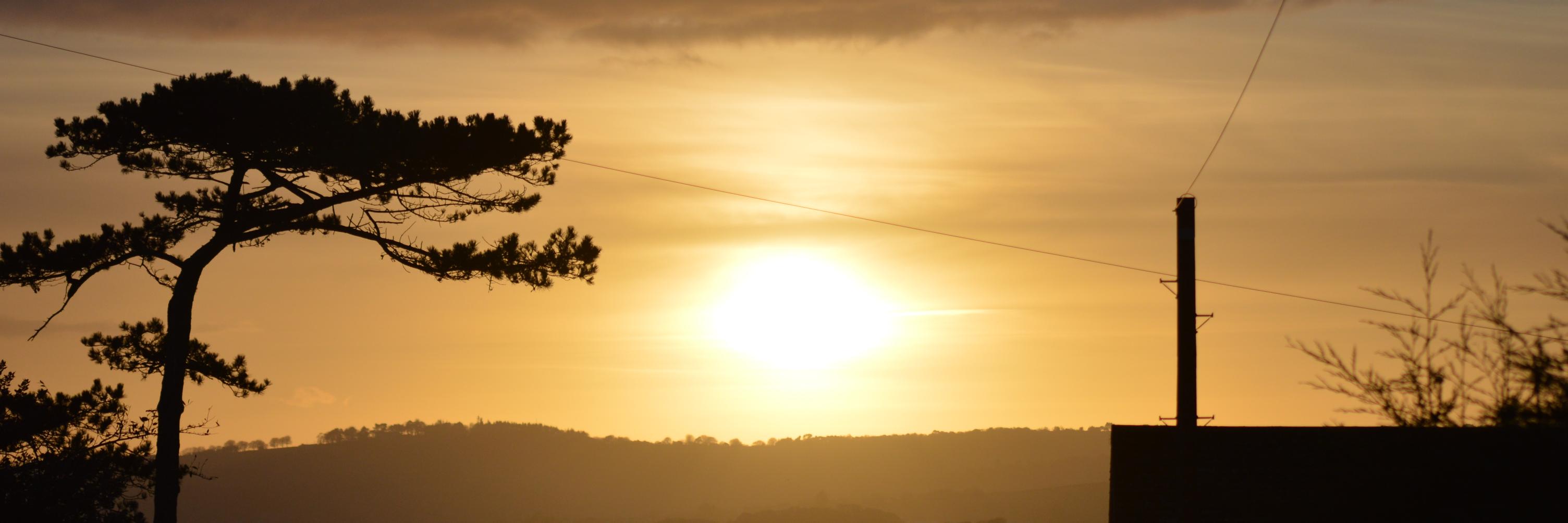 coreycollinscdc's profile banner image