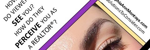 PonderAndDream's profile banner image