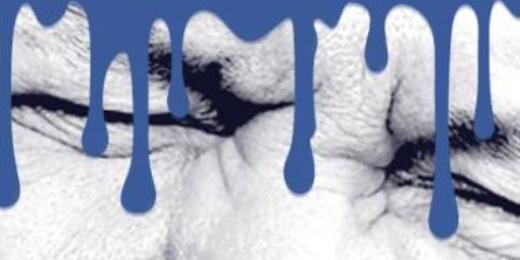YLeaks's profile banner image