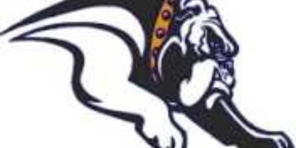 Mediapolis Football banner