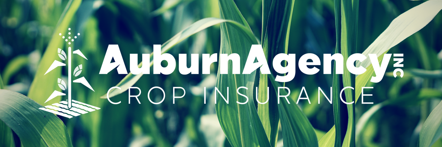 Auburn Agency Crop banner