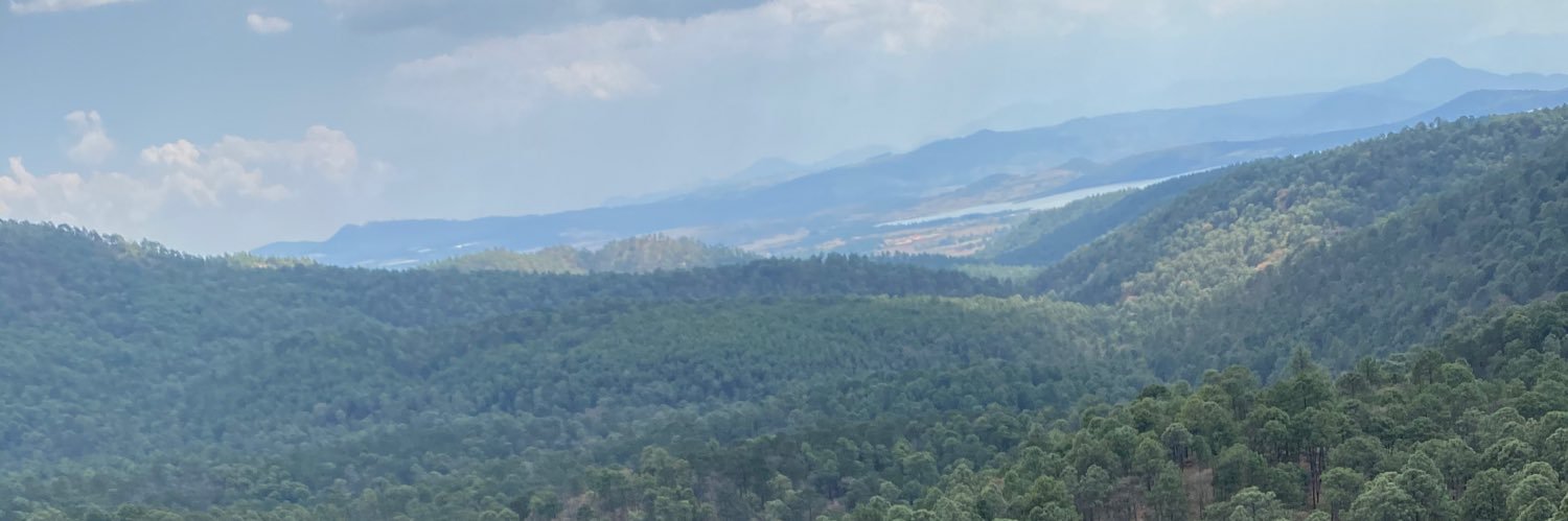 rodrigotost's profile banner image