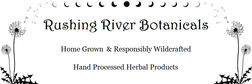 RRBotanicals's profile banner image