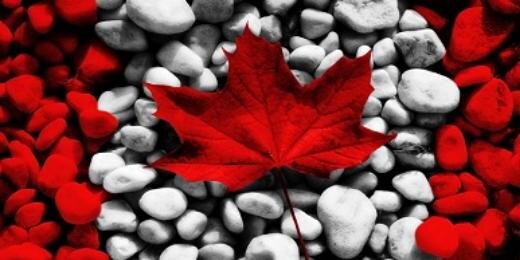 IRICanada's profile banner image