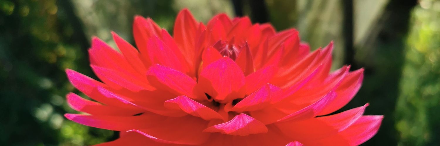 Wouter Addink banner