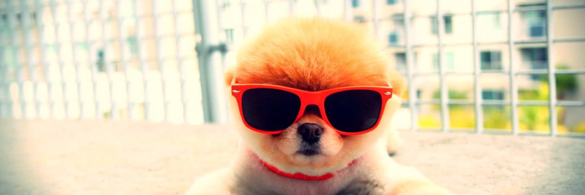 Megan_Mouser's profile banner image
