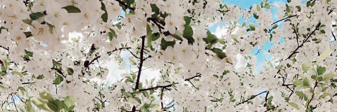 katielaughlin's profile banner image