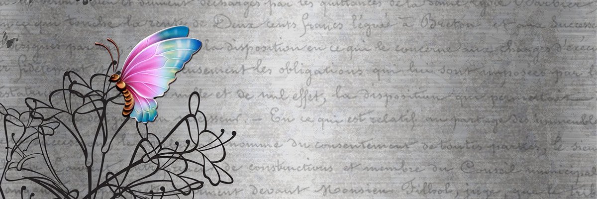 am_corral's profile banner image