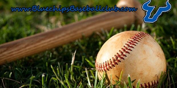 Blue Chips Baseball banner