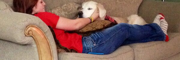 Hogie_Buns Profile Banner