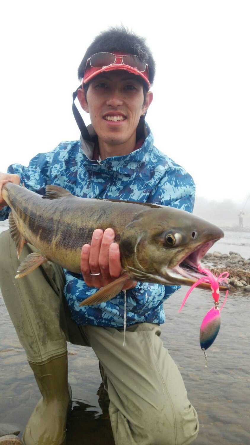 ケイトラ🐤☕️ banner