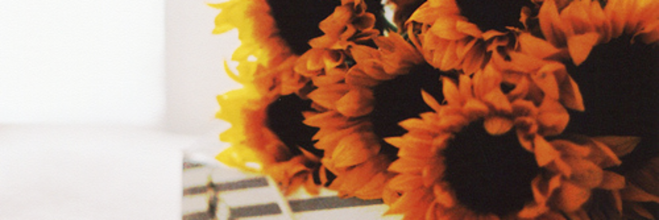 perrierpguof2's profile banner image