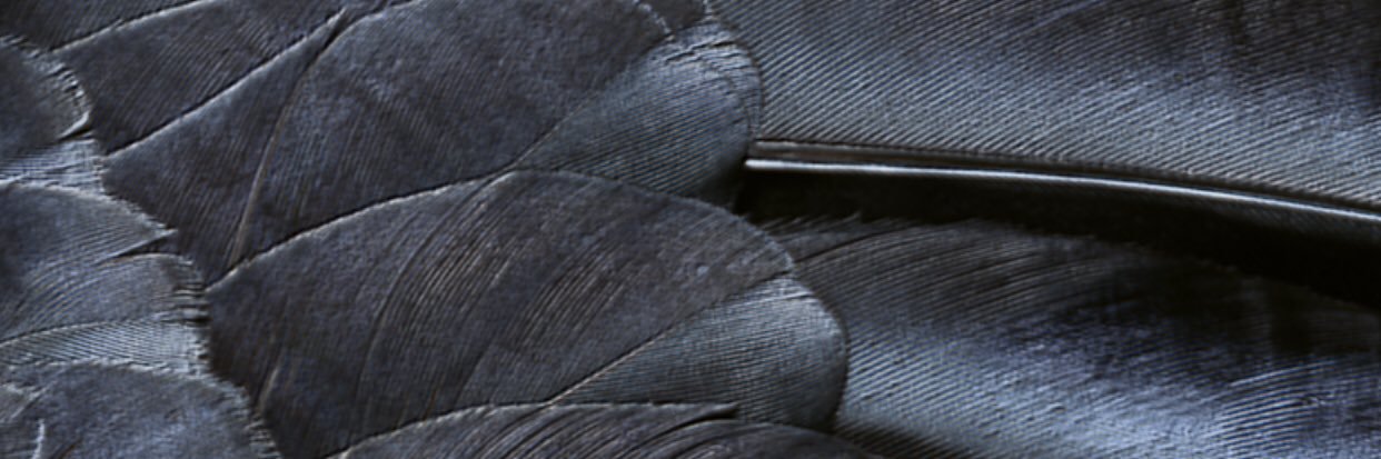 cepxuo_mos's profile banner image