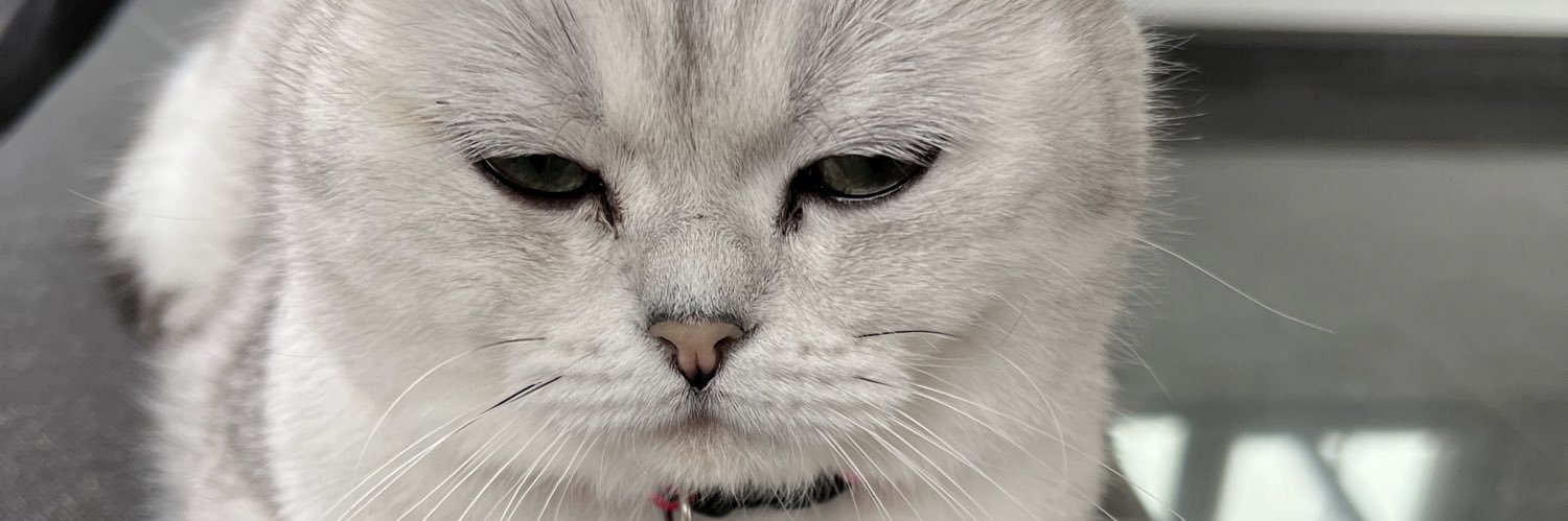 paarsebadmuts's profile banner image