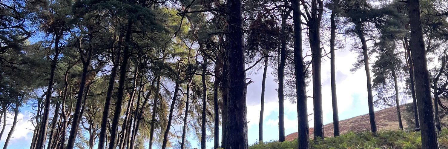 MattHalligan88's profile banner image