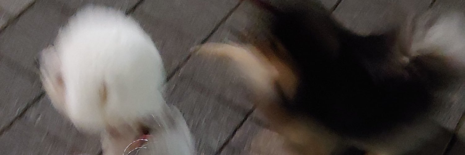 4sokun's profile banner image