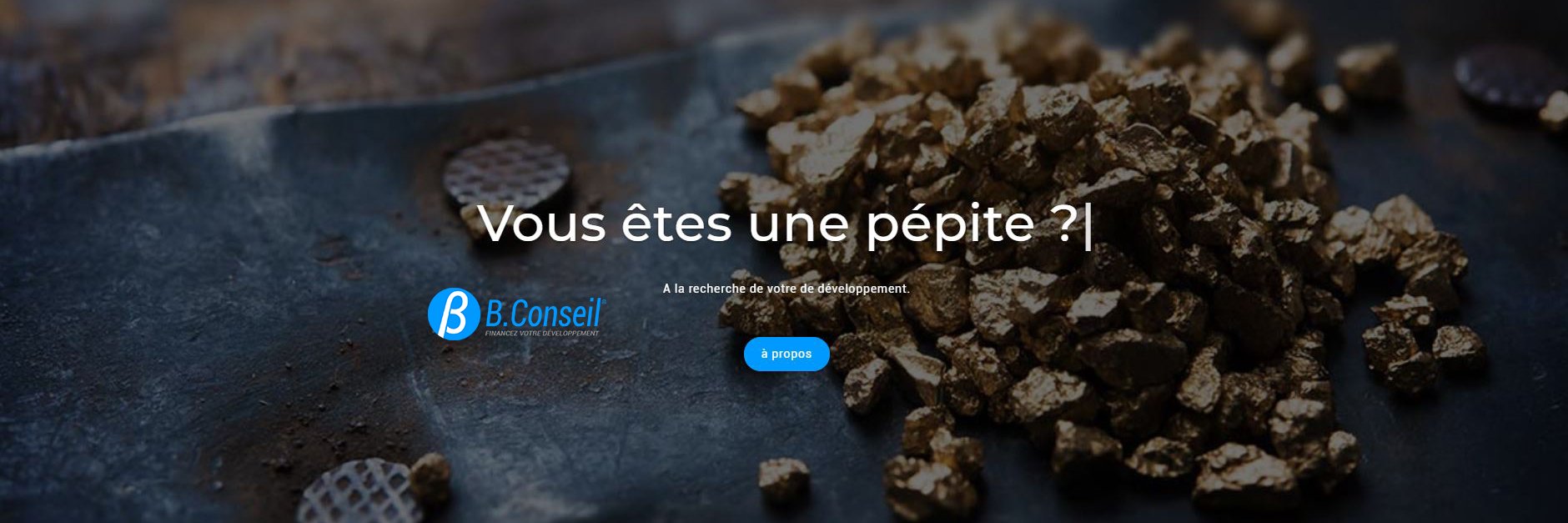 Aurélien BARRIERE banner
