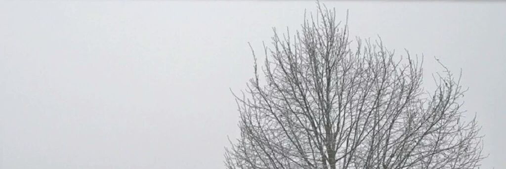Hson1416's profile banner image