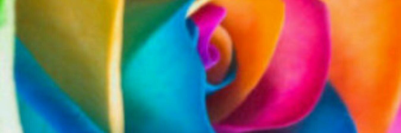free2bsdoo's profile banner image