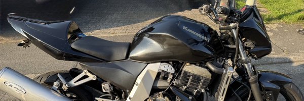 TinaKrogull Profile Banner