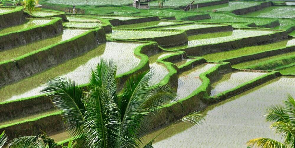 budgetripbali's profile banner image