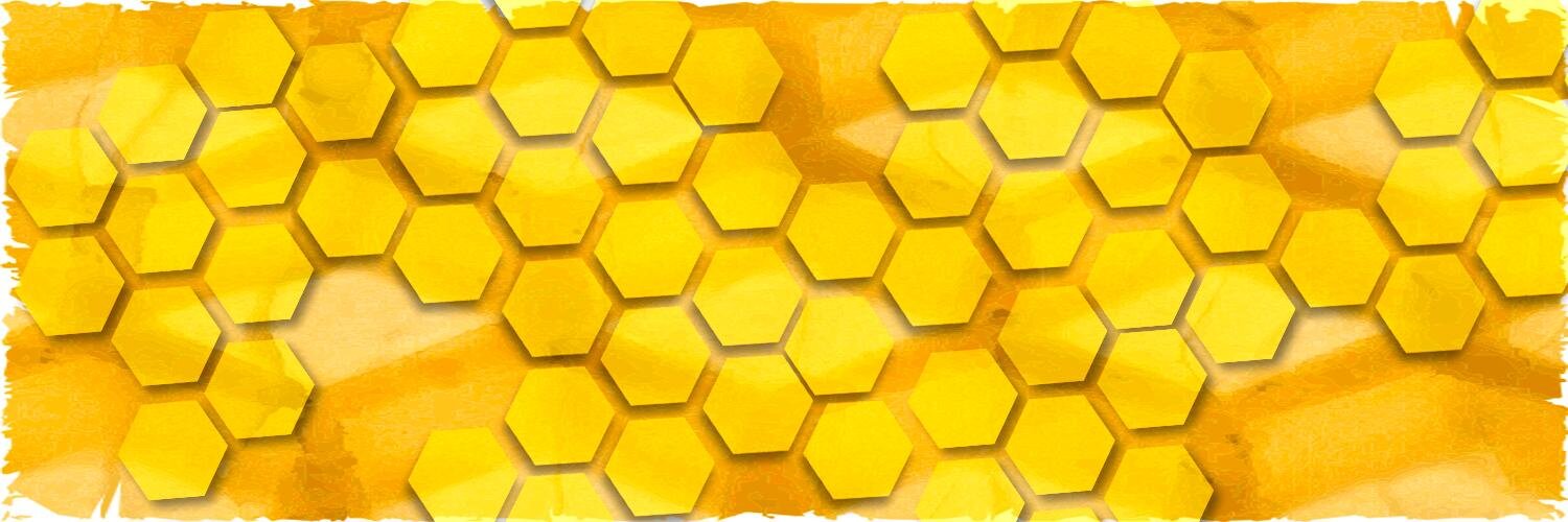 moijedisa's profile banner image