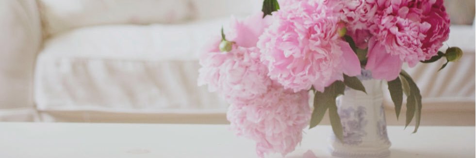 elisabethsones's profile banner image