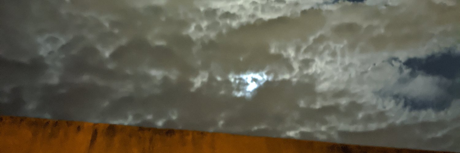 minidoge's profile banner image