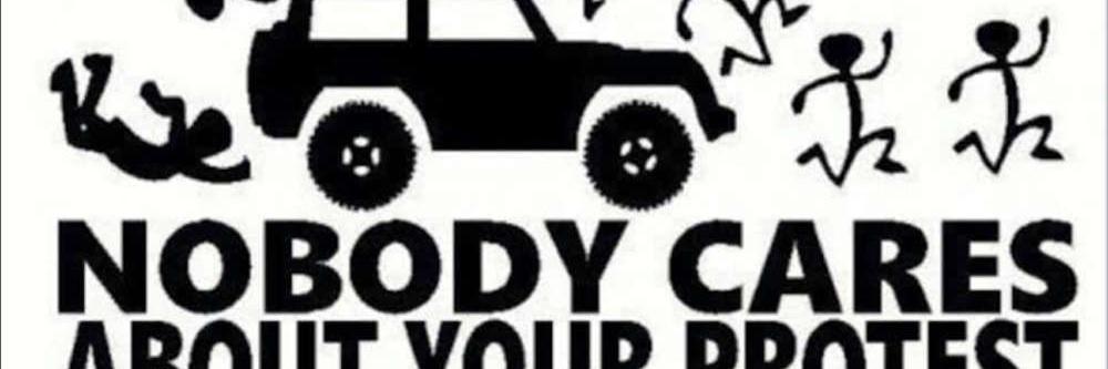 MyMonkeyDoesntStink's banner