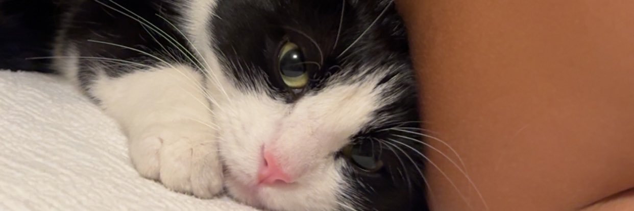im_lezliee's profile banner image