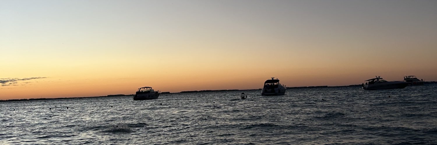 VidalAlbi's profile banner image