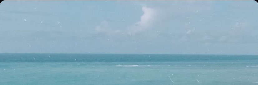 rochiferrin's profile banner image