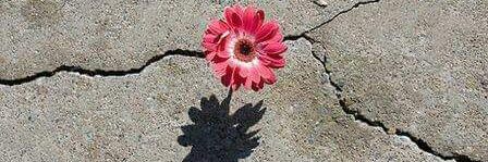Sweet_Delilah's profile banner image