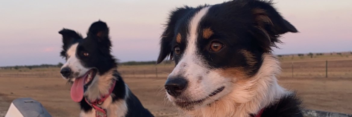 halliefoote_'s profile banner image