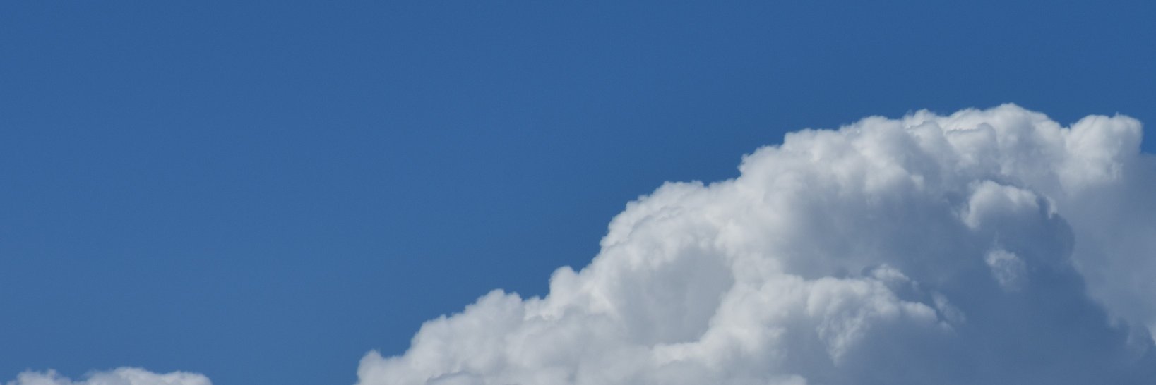 Neil Mackenzie banner