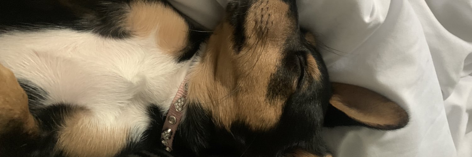 paulara00's profile banner image