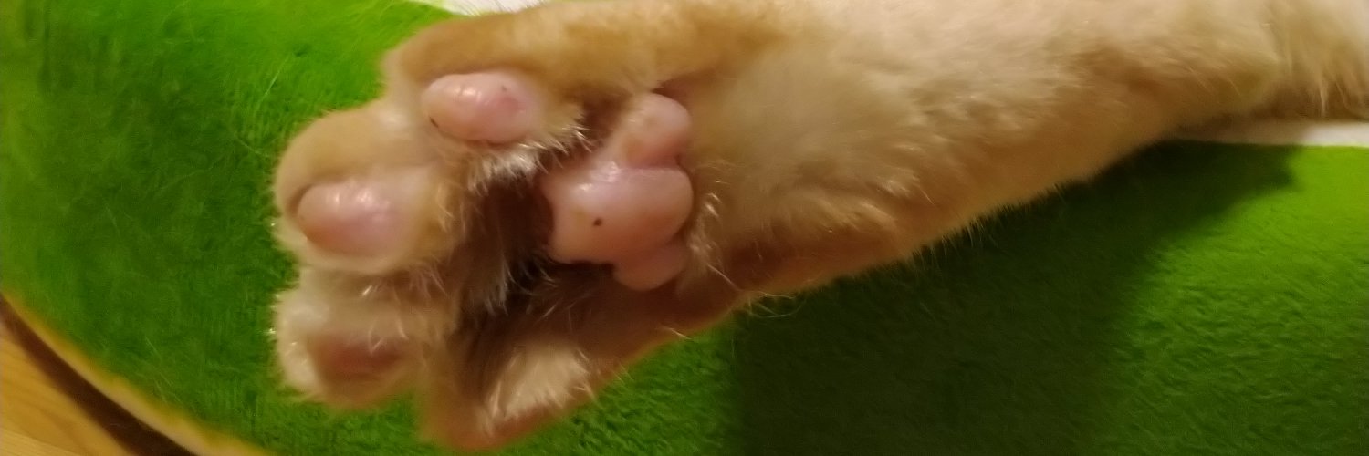 ヘッダー画像