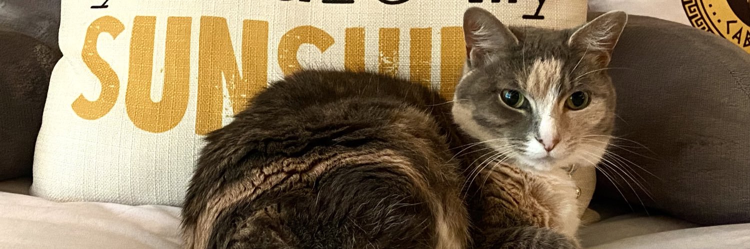 Meg_Marie5's profile banner image
