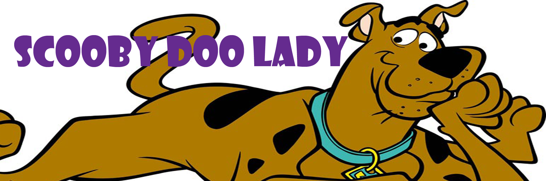 Scoobydoolady's profile banner image