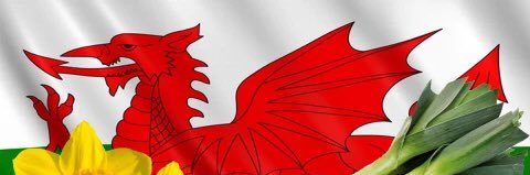 Andy Lee (He/Him) banner