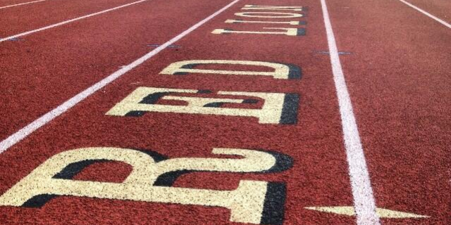 Red Lion Track banner