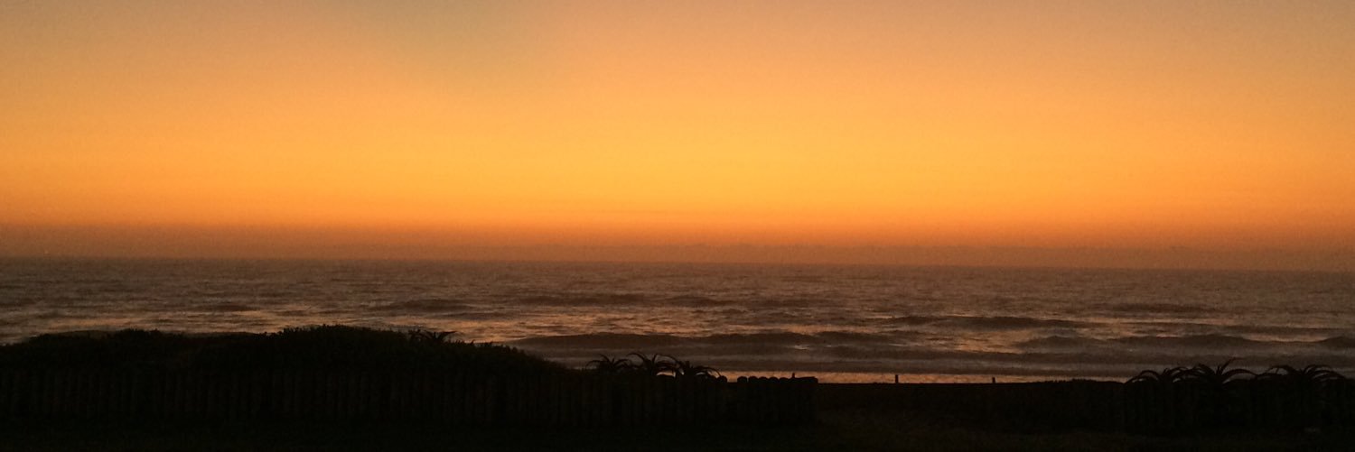 Party Naartjies banner